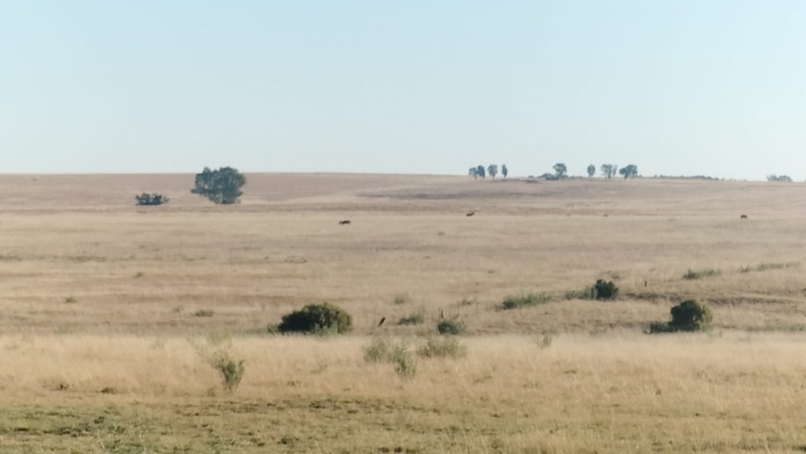 Commercial Property for Sale in Thaba Nchu Free State